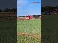 Dachowania e gminie Olszewo Borki