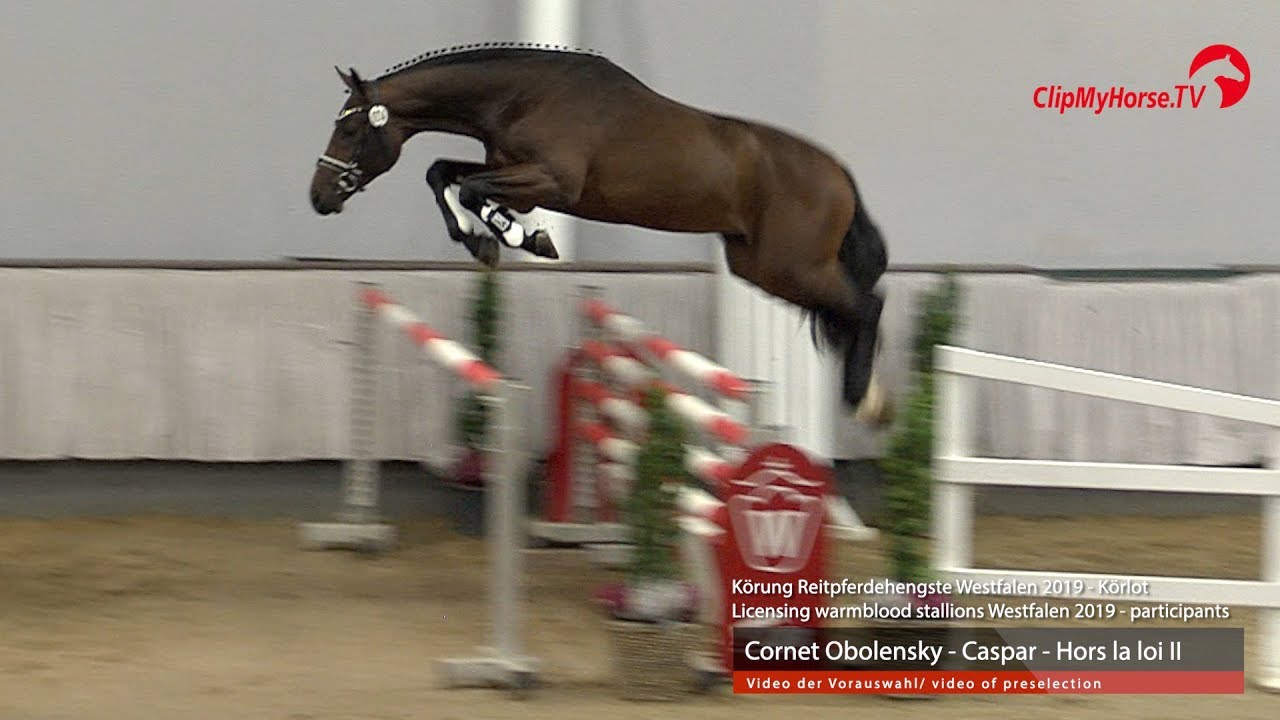 Hengst v. Obolensky Caspar Hors la loi II YouTube