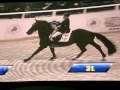 Washington international horse show open jumper1