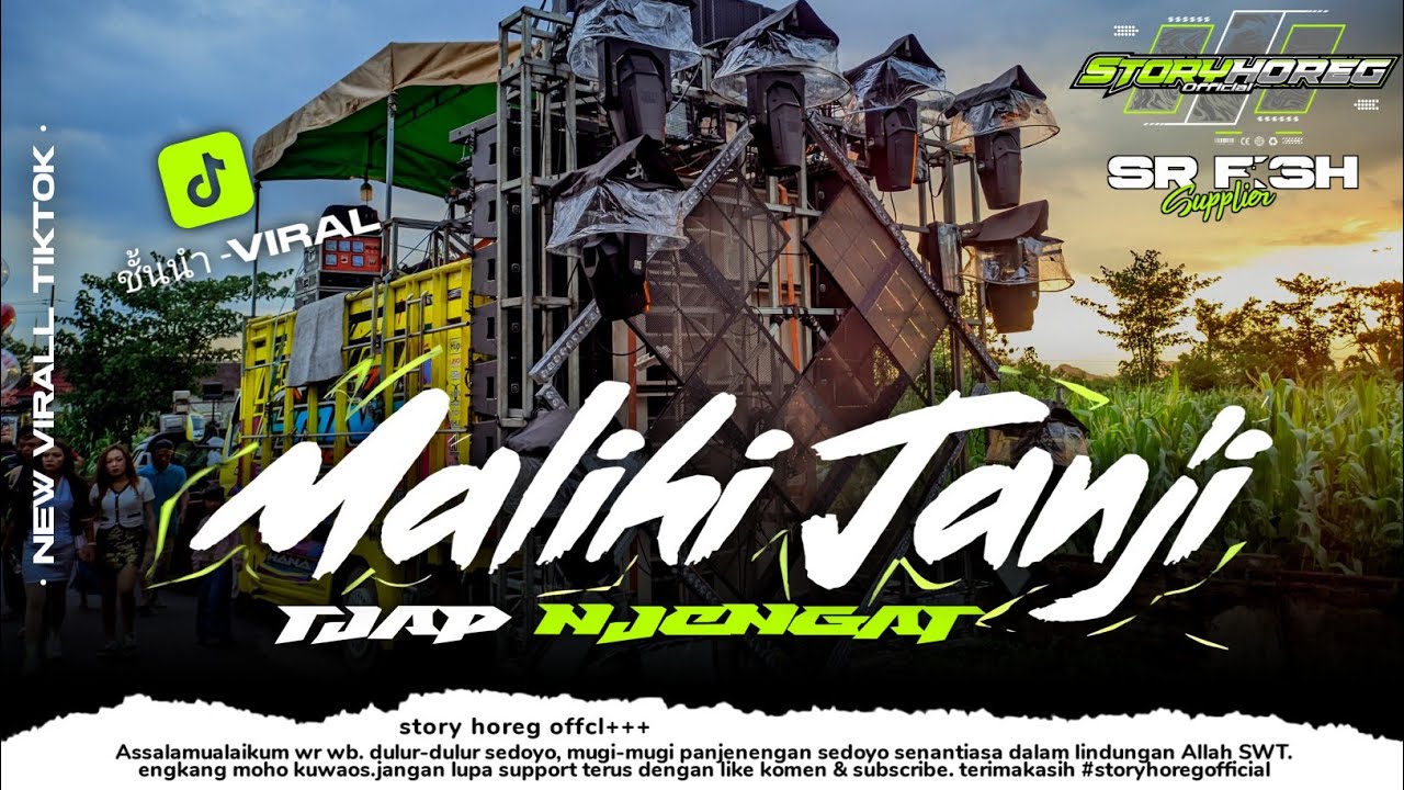 DJ MALIHI LAGU DAYAK STYLE KARNAVALAN - TRAP PARTY TJAP NJENGAT VIRALL 2025 (SR MUSIC PRESENT)