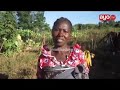 Mtu Aliyekufa Miaka 18 Iliyopita Afufuka Mkoani Kigoma Kasulu Nyumbigwa Mtu Aliyekufa Miaka 18 Iliyopita Afufuka Mkoani Kigoma Kasulu Nyumbigwa