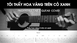 Tôi Thấy Hoa Vàng Trên Cỏ Xanh - Fingerstyle / Guitar Solo
