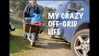 MY CRAZY OFF-GRID LIFE RESTORING A RUIN AS A PIG FARMER