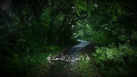 سورة التوبة : آيه 40 ، القارئ عبدالرحمن مسعد ، ستوريات قرآن ، شاشه سوداء 🤍🤍 .