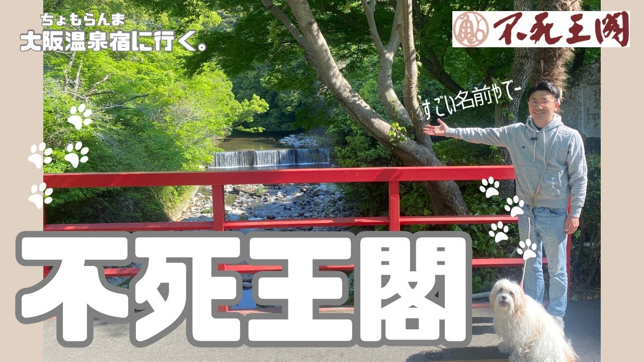 大阪にもあった！愛犬と泊まれる最高の温泉宿を満喫してきた🐶♨️ 〜前編〜