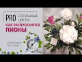 Пионы - как происходит роспуск день за днем. Садовые пионы - сколько срок их жизни в букете?