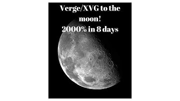Verge/XVG to the moon! 2000%+ in 8 days