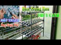 Hướng Dẫn Chế Dàn Thủy Canh Trồng Rau Mini từ ống nhựa PVC va vỏ thạch rau câu