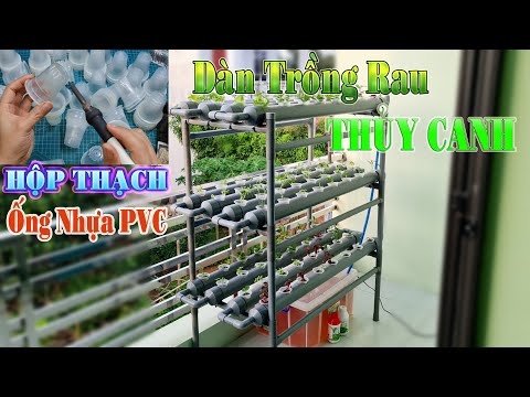 Video: Làm thế nào để trồng hẹ tây: 10 bước (có hình ảnh)