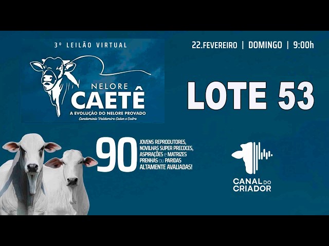 LOTE 53   CCET 473