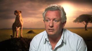 African Cats The Making Of African Cats 1080P