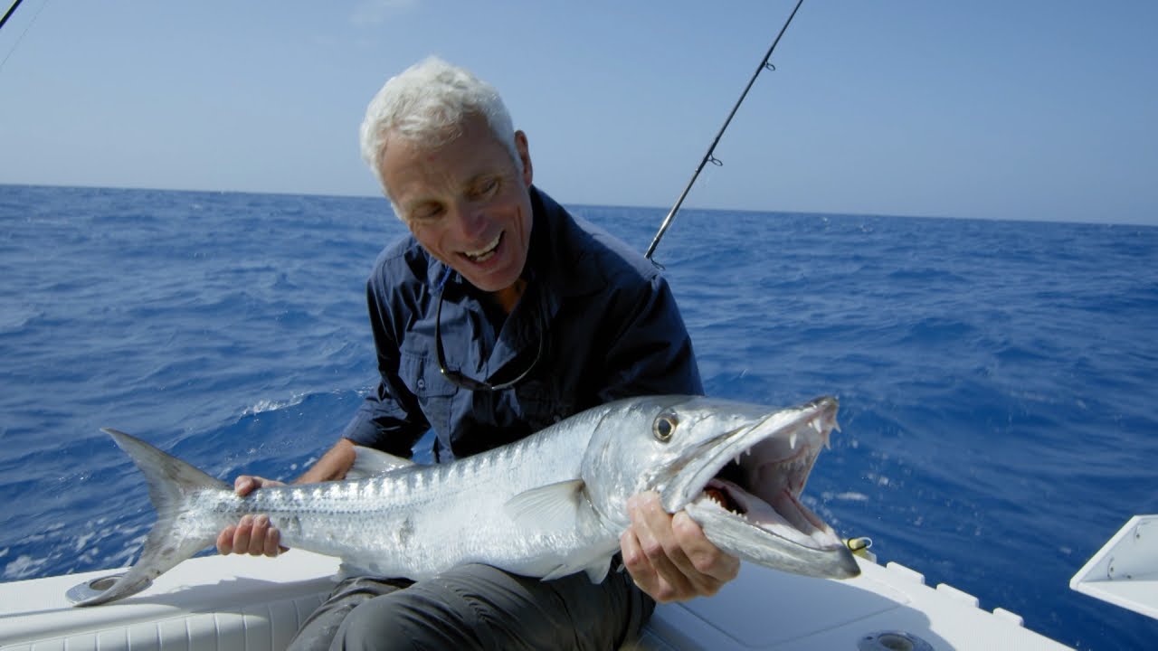 How to Catch a Barracuda 