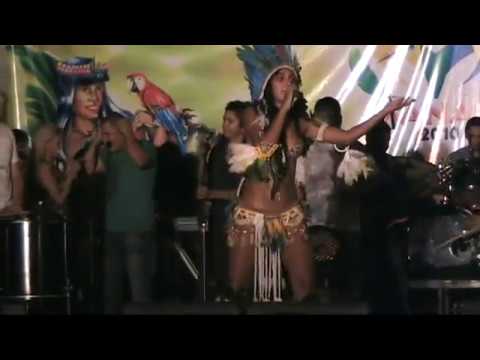 Vanessa Alfaia. Feirinha do Tururi 2010 / Manaus Amazonas (Parintins HD® Vídeos)