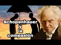 Schopenhauer y la compasión - Sesión 17. Curso sobre la filosofía de Schopenhauer.