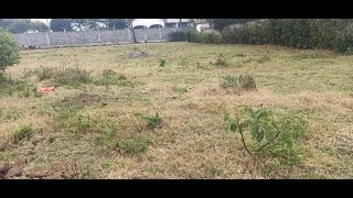 10 acres Karen, Nairobi