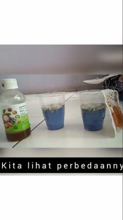 Extrafood HNI x Madu Biasa