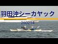 羽田沖シーカヤック　260214 Sea kayaking in Tokyo