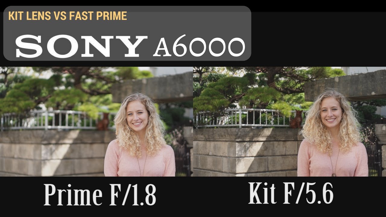 Kit Lens vs Fast Prime Lens YouTube
