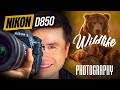 Wildlife Photography Adventures in Alaska with the Nikon D850: Tips on How To Evoke Emotion. Part 1.