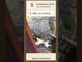 A bronca vem... e vem forte #shorts #viral #cat #cutebaby