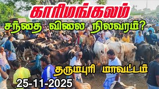 Download Lagu 25-11-2025 காரிமங்கலம் மாட்டு சந்தை தருமபுரி மாவட்டம்  MP3