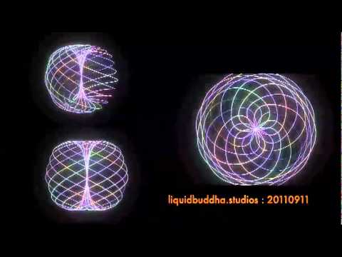 Rodin Coil vortex animation - YouTube