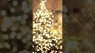 Merry Christmas 2024 ?? Top Christmas Songs Playlist 2024 ?? Best Christmas Song Ever Vol 01shorts