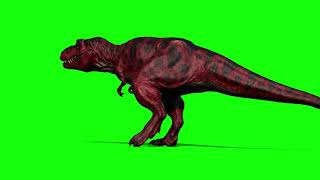 Dinosaur Green Screen - Tyrannosaurus wakes up