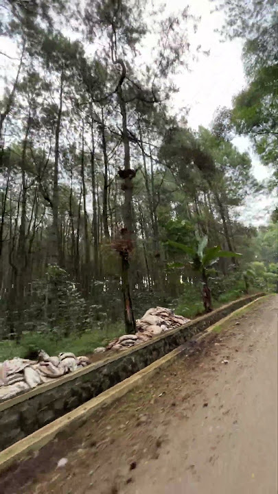 Jalur ciwidey via cibeber pemandangan alam nya sejuk banget