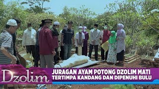Juragan Ayam Potong Dzolim Mati Tertimpa Kandang Dan Dipenuhi Bulu - Dzolim Part 2 (10/9)