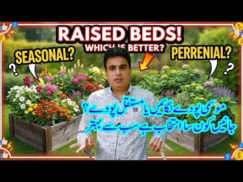 Raised Bed Gardening: Seasonal Plants or Perennial Plants – Which Is Better?