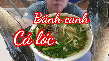 BỊ SỐC KHI ĂN MÓN BÁNH CANH CÁ LÓC│HỒ CHÍ HIẾU