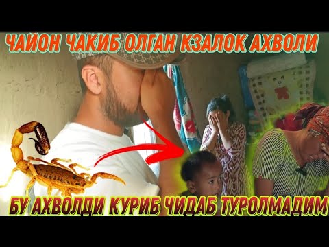 ЧАЙОН ЧАКИБ ОЛГАН КЗАЛОК АХВОЛИ ЖУДА ОГИР