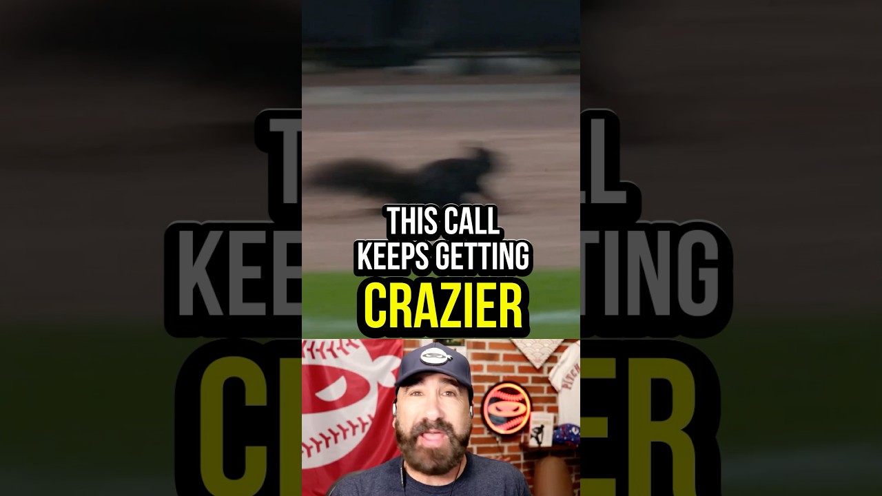 This might be the best play by play ever #mlb