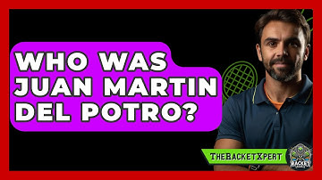 Who Was Juan Martin Del Potro? - The Racket Xpert