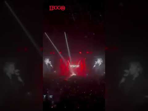Video Ligabue, al concerto di Milano la sorpresa di Mannoia sul palco: torna Una nessuna centomila