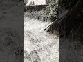 We play in the snow.