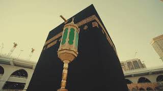 القلوب تتهيأ، والأرواح تشتاق Hearts are preparing, and souls are yearning.