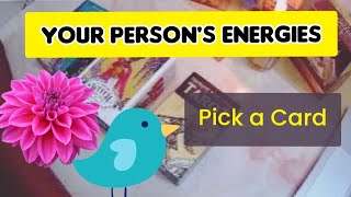 NO CONTACT| YOUR PERSON'S ENERGIES| உங்கள் நபரின் தற்போதைய எனர்ஜி| Pick a Card #energy #tarot