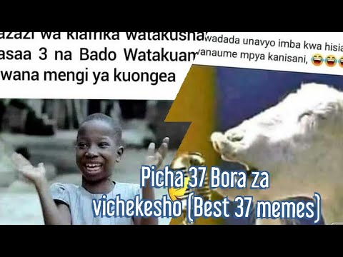 Download PICHA 37 ZA VICHEKESHO.../UTAVUNJA MBAVU/ (BEST 37 MEMES)