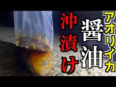 生きたままのイカを醤油に漬けて最強の沖漬け丼を作ってみた Youtube