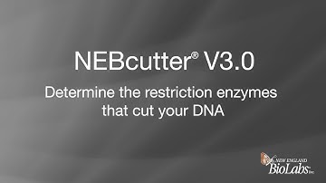 NEBcutter® V3.0 -  Determine the restriction enzymes that cut your DNA