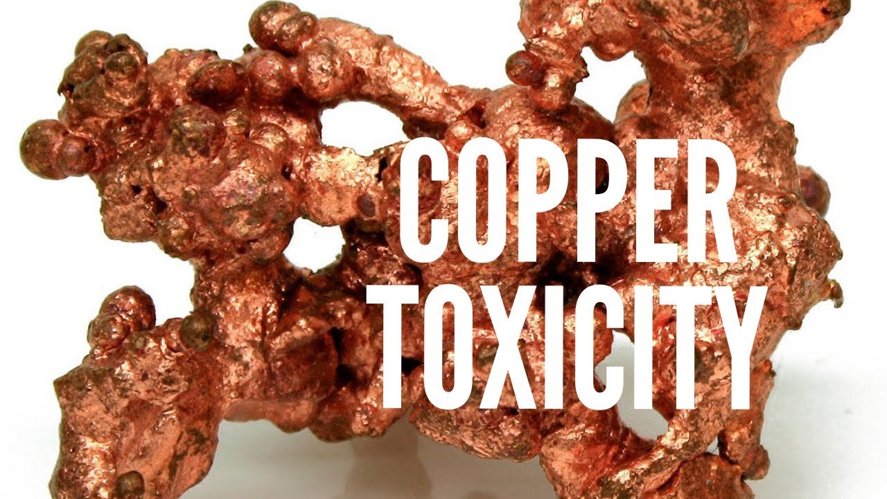 The Dangers of Copper Excess & How to Correct it YouTube