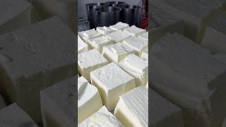 😱100% Pure &amp; Hygienic Paneer making GREEN FARM🔥 #paneermaking #factoryvisit #southindianfood