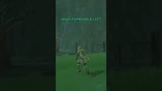 Celebrity BotW Boomerang Exploit πͺ Breath of the Wild Trick π¬ #breathofthewild #shorts Net Worth