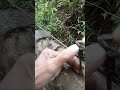 very simple and useful knot#knot #rope #a #diy #camping #outdoor #tutorial