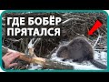 🏠 КУПИЛ ДОМ В ДЕРЕВНЕ / ИЩЕМ БОБРА /💥 БОЛЬ В СПИНЕ ЧТО ДЕЛАТЬ