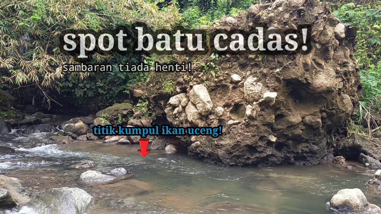 MANCING DI SUNGAI WONOSOBO GUDANGNYA IKAN UCENG! 