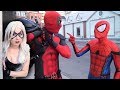 SPIDER-MAN vs DEADPOOL vs BLACK CAT