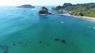 UNIQUE OCEANFRONT HOME for SALE 1525 BEACH AVENUE Brookings OR unbranded